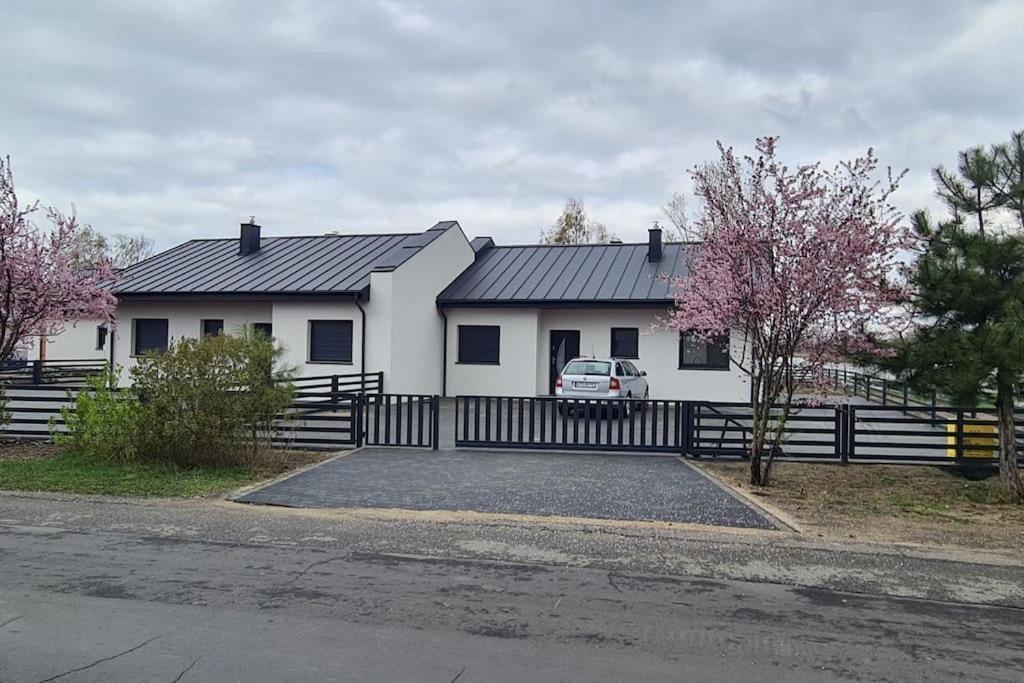 Wake Domek Blue House Januszkowice Januszkowice  Εξωτερικό φωτογραφία