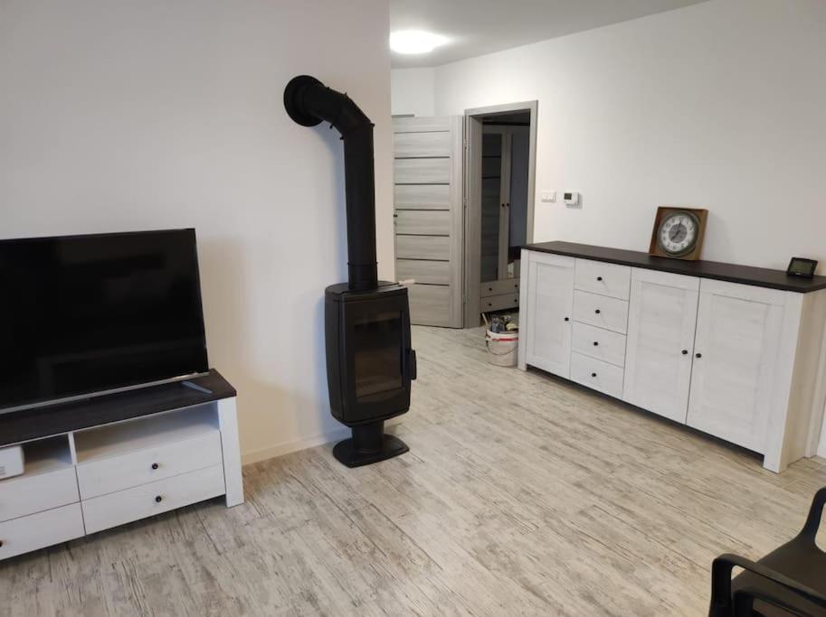 Wake Domek Blue House Januszkowice Januszkowice  Εξωτερικό φωτογραφία